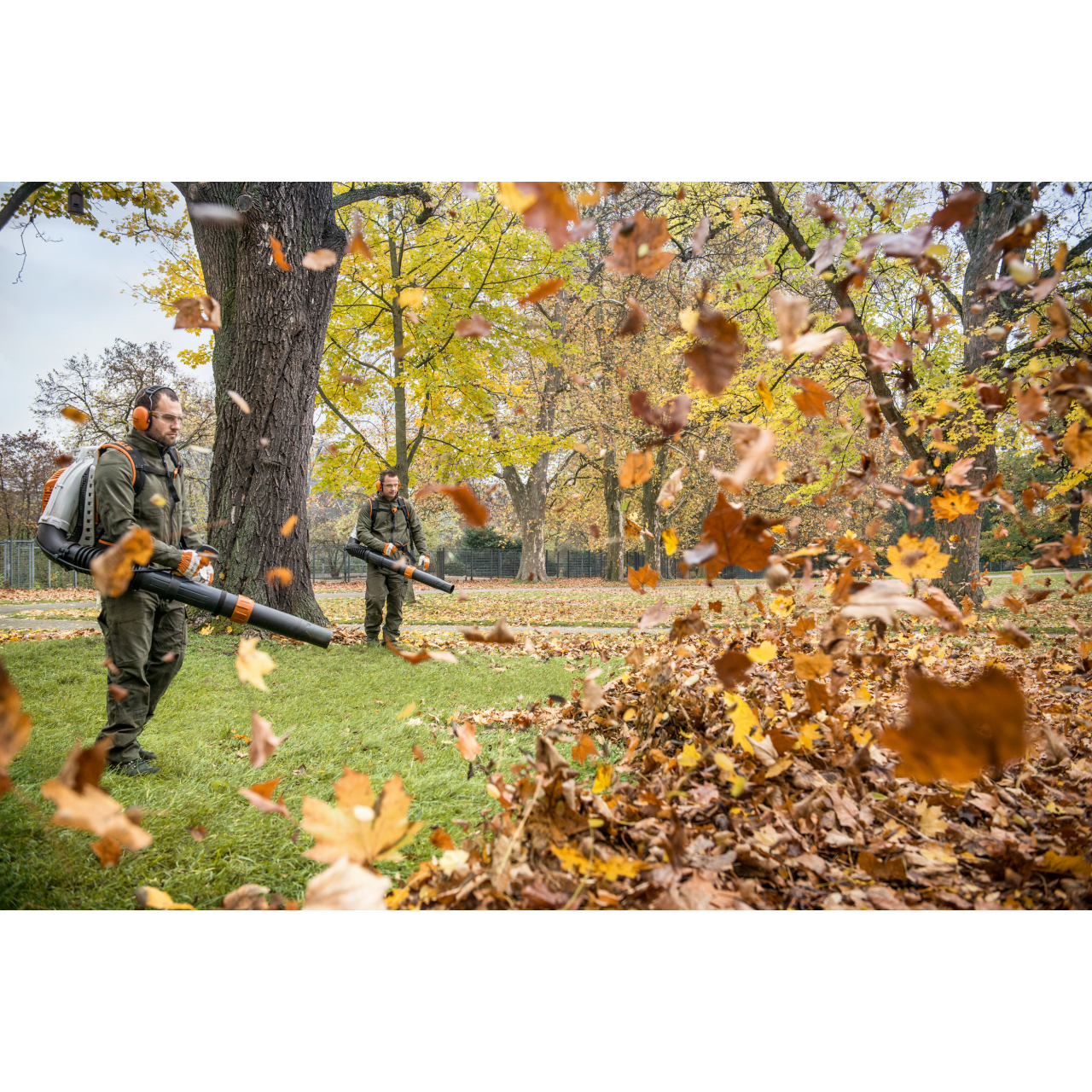 Stihl Laubbläser BR 800 C-E Blasgerät