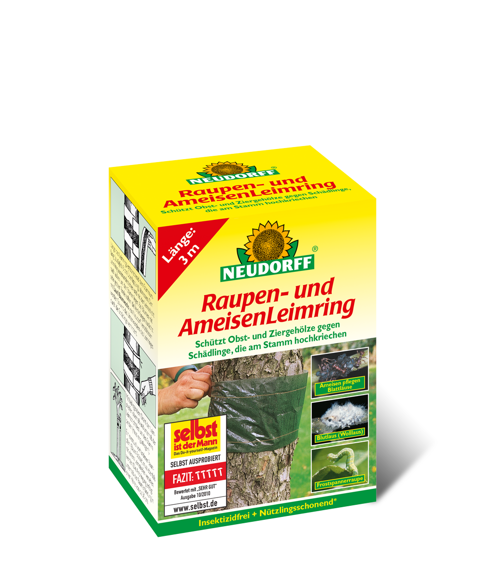 Raupenleimring und Ameisenleimring